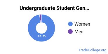 Undergraduate Gender Diversity at Florida Academy of Nursing