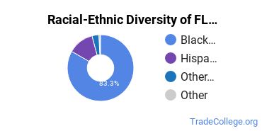 Racial-Ethnic Diversity of Florida Academy of Nursing Undergraduate Students