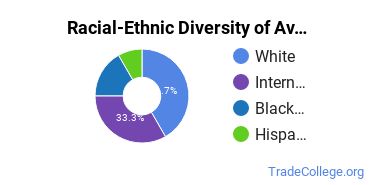 Racial-ethnic diversity of Aviation Management & Operations majors at Florida Institute of Technology