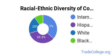 Racial-ethnic diversity of Construction Engineering majors at Florida International University