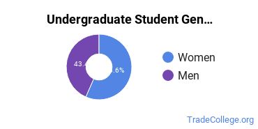 Undergraduate Gender Diversity at Framingham State University