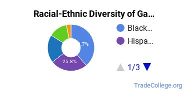 Racial-Ethnic Diversity of Galen Health Institutes-Austin Campus Undergraduate Students