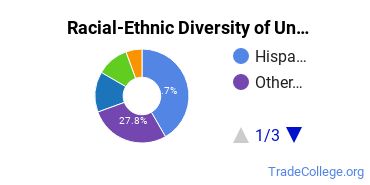Racial-Ethnic Diversity of Glendale Career College-North-West College-Bakersfield Undergraduate Students