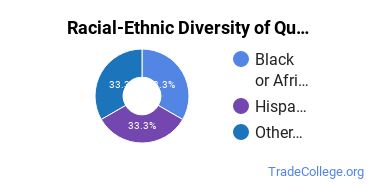 Racial-ethnic diversity of Quality Control Technology majors at Goodwin University
