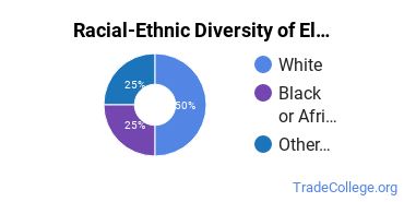 Racial-ethnic diversity of Electromechanical Engineering majors at Guilford Technical Community College