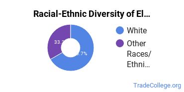 Racial-ethnic diversity of Electromechanical Technology majors at Guilford Technical Community College