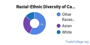 Racial-ethnic diversity of Carpentry majors at Hawaii Community College