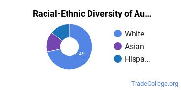 Racial-ethnic diversity of Collision & Repair Technology majors at Hawkeye Community College