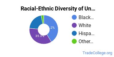 Racial-Ethnic Diversity of Herzing University-Tampa Undergraduate Students