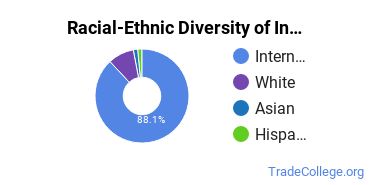 Racial-ethnic diversity of Industrial & Management Engineering majors at Illinois Institute of Technology