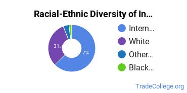 Racial-ethnic diversity of Industrial Production Technology majors at Illinois State University
