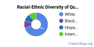 Racial-ethnic diversity of Quality Control Technology majors at Indiana State University
