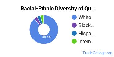 Racial-ethnic diversity of Quality Control Technology majors at Indiana University of Pennsylvania-Main Campus