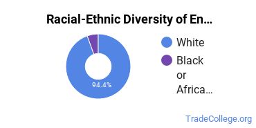 Racial-ethnic diversity of Engineering-Related Fields majors at Iowa State University
