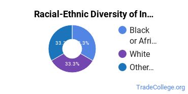 Racial-ethnic diversity of Industrial Electronics majors at Ivy Tech Community College