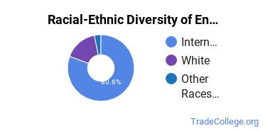 Racial-ethnic diversity of Engineering Technology majors at Kent State University at Kent
