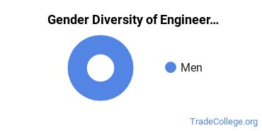 Lake Superior State University gender breakdown of Engineering Technology Associate's degree recipients