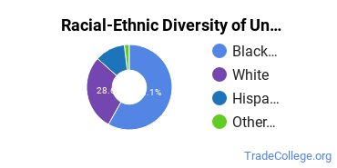 Racial-Ethnic Diversity of Lakewood University Undergraduate Students