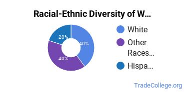 Racial-ethnic diversity of Welding majors at Las Positas College