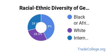 Racial-ethnic diversity of Drafting & Design Technology majors at Lincoln University