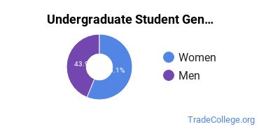 Undergraduate Gender Diversity at Mariano Moreno Culinary Institute