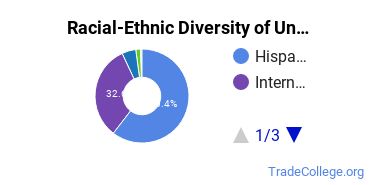 Racial-Ethnic Diversity of Mariano Moreno Culinary Institute Undergraduate Students