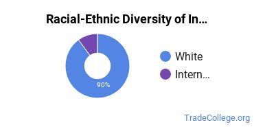 Racial-ethnic diversity of Industrial Production Technology majors at Millersville University of Pennsylvania