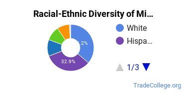 Racial-Ethnic Diversity of Northeastern University Oakland Undergraduate Students