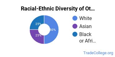 Racial-ethnic diversity of Other Electrical & Power majors at Minnesota West Community and Technical College