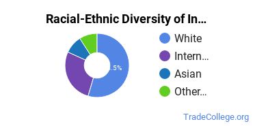 Racial-ethnic diversity of Industrial & Management Engineering majors at Morehead State University