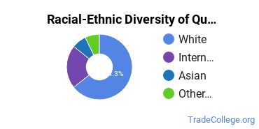 Racial-ethnic diversity of Quality Control Technology majors at Murray State University