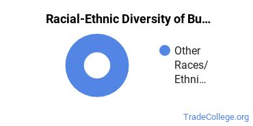 Racial-ethnic diversity of Building Construction Technology majors at Navajo Technical University