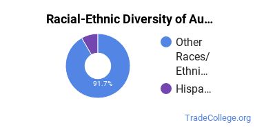 Racial-ethnic diversity of Automotive Engineering Technology majors at Navajo Technical University