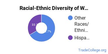 Racial-ethnic diversity of Welding majors at New Mexico State University-Grants