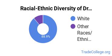 Racial-ethnic diversity of Drafting & Design Engineering majors at New River Community College