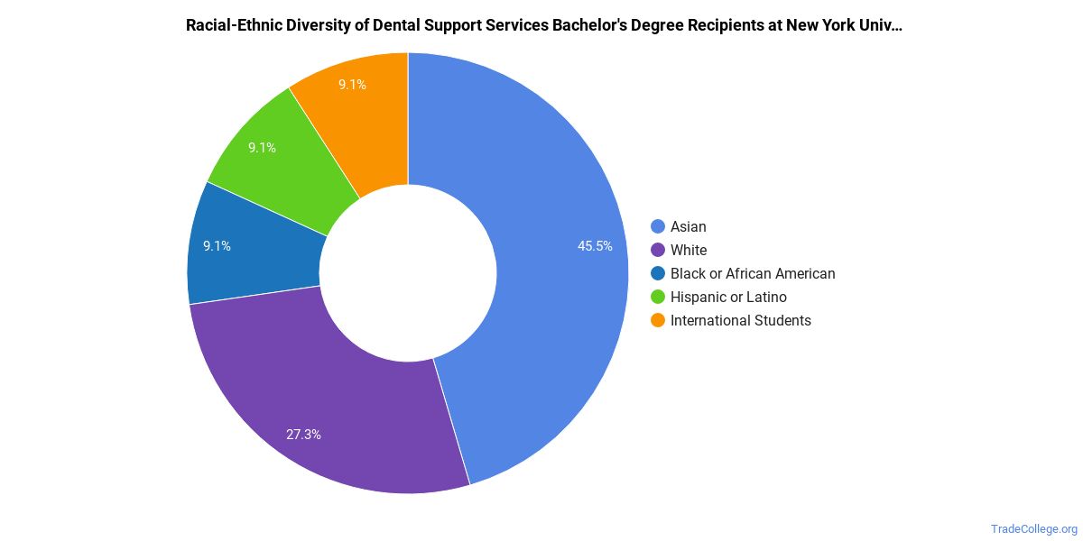 The Dental Support Major At New York University Trade College