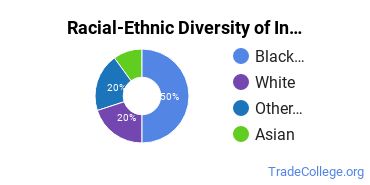 Racial-ethnic diversity of Industrial Technology majors at North Carolina A & T State University
