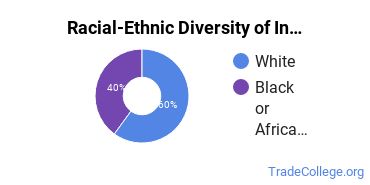 Racial-ethnic diversity of Industrial Production Technology majors at North Central State College