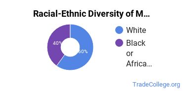 Racial-ethnic diversity of Manufacturing Engineering majors at North Central State College