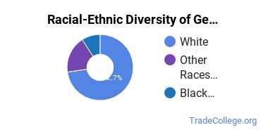 Racial-ethnic diversity of General Air Transportation majors at Oklahoma State University-Main Campus