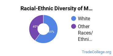 Racial-ethnic diversity of Manufacturing Engineering majors at Oregon Institute of Technology