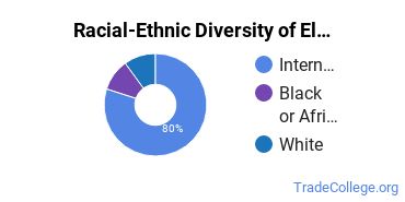 Racial-ethnic diversity of Electronics Engineering majors at Pace University