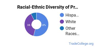 Racial-ethnic diversity of Precision Metal Working majors at Palomar College