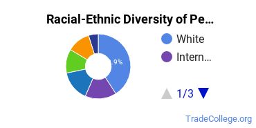 Racial-Ethnic Diversity of Pennsylvania State University-Penn State Abington Undergraduate Students