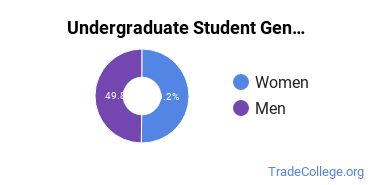Undergraduate Gender Diversity at Pennsylvania State University-Penn State Scranton