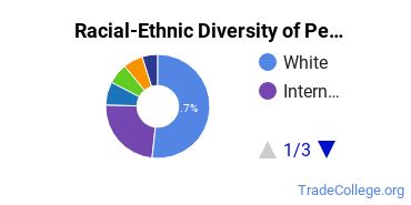 Racial-Ethnic Diversity of Pennsylvania State University-Penn State York Undergraduate Students