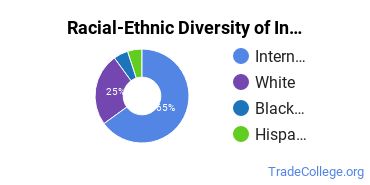 Racial-ethnic diversity of Industrial Technology majors at Pittsburg State University
