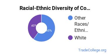 Racial-ethnic diversity of Construction Engineering majors at Portland Community College