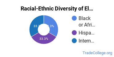 Racial-ethnic diversity of Electronics Engineering majors at Prairie State College