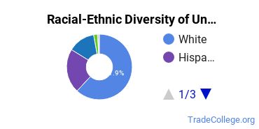 Racial-Ethnic Diversity of Provo College-Idaho Falls Campus Undergraduate Students